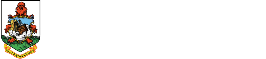 Department of Social Insurance Logo